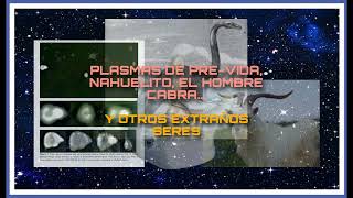 PLASMAS DE PREVIDA, NAHUELITO, EL HOMBRE CABRA, Y OTROS EXTRAÑOS SERES | Misterios al Anochecer