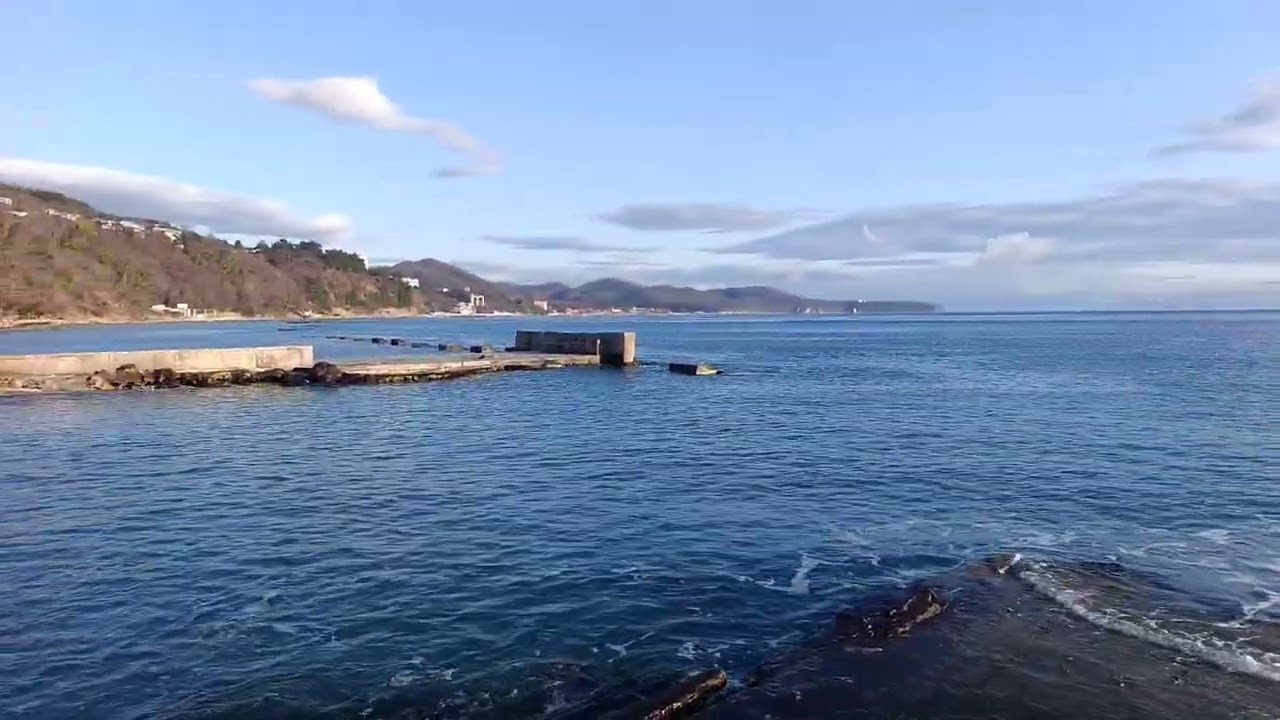 28.02.2026 🐬🐬🐬🐬🐬