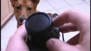 Classic Game Room - ATARI 2600 DRIVING CONTROLLERS review