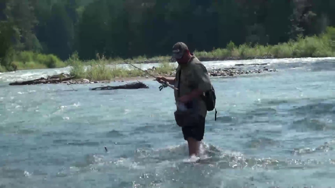 Video Blog: Fishing with Bent Rod- Salmon Fishing the Chilliwack River