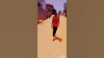 DAADOO 