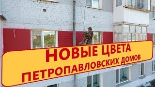 НОВЫЕ ЦВЕТА ПЕТРОПАВЛОВСКИХ ДОМОВ НОВЫЕ ЦВЕТА ПЕТРОПАВЛОВСКИХ ДОМОВ