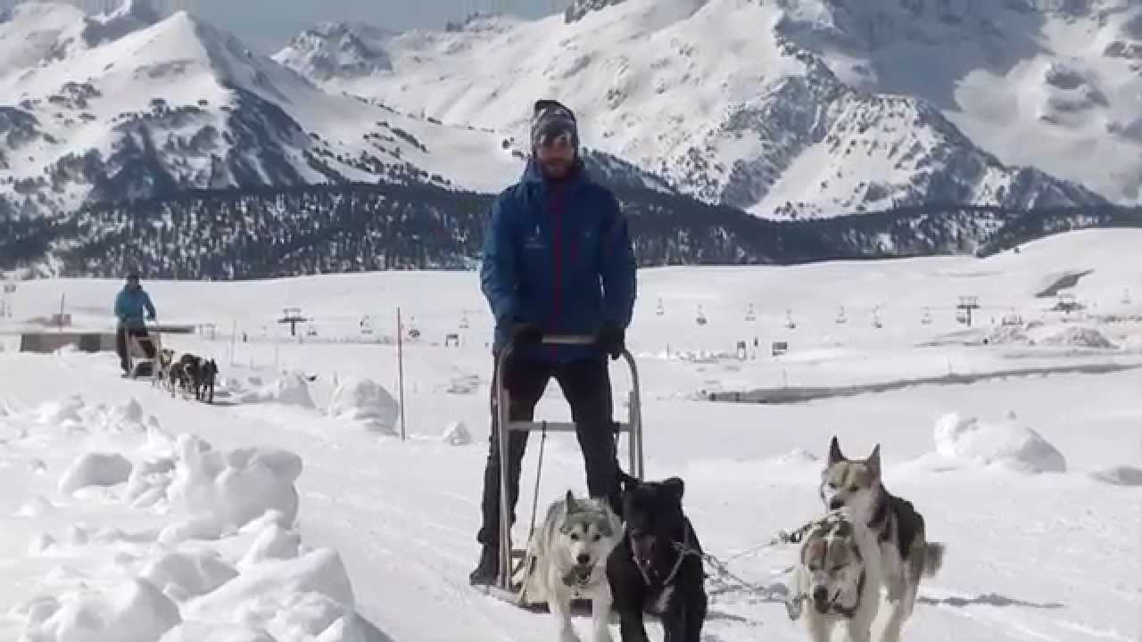 Home - Montgarri Outdoor  Motos de nieve, trineos de perros