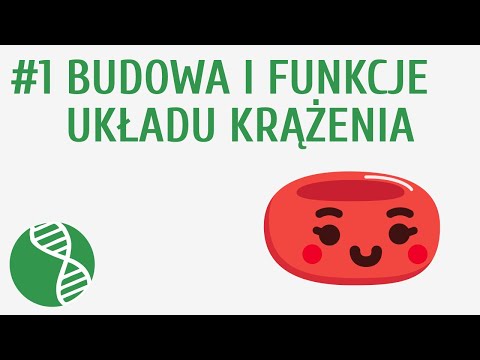 Budowa i funkcje układu krążenia #1 [ Krążenie ]