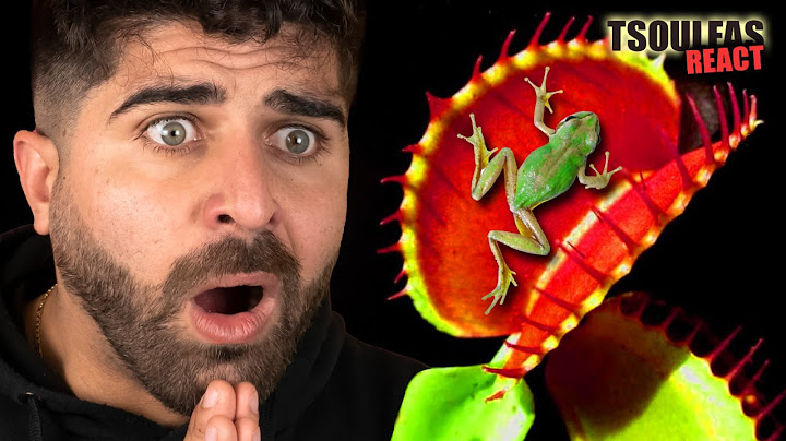 ΦΥΤΑ ΠΟΥ ΤΡΩΝΕ ΖΩΑ! | Tsoulfas React #15