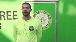 Arborists in Rochester NY, details at YellowPages.com