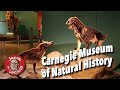 Secrets of the Carnegie Museum of Natural History