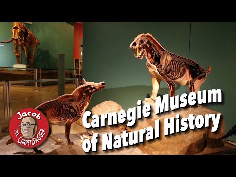 Vídeo: Os museus da carnegie estão abertos?