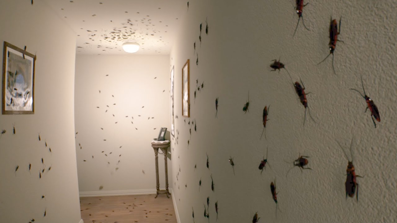 鳥肌注意 しゃれにならない量のゴキブリが家に湧いてしまった ホラーゲームがヤバすぎる 閲覧注意 発狂あり Youtube