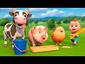 Nông Trại Vui Nhộn: Bài Hát Động Vật Hay Nhất 🐄🐘