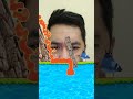 melindungi burung #shorts #memes #funny #viral