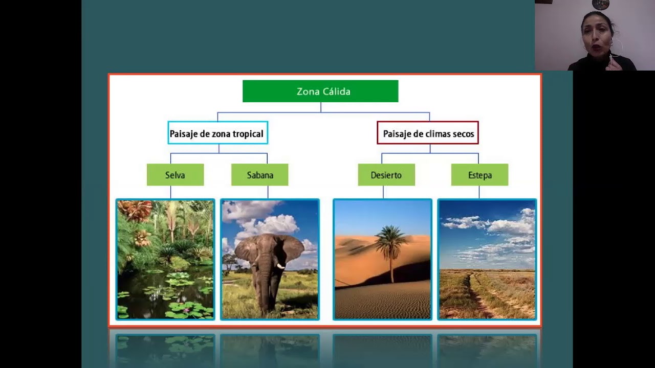 Paisajes de las zonas climáticas de la tierra - YouTube