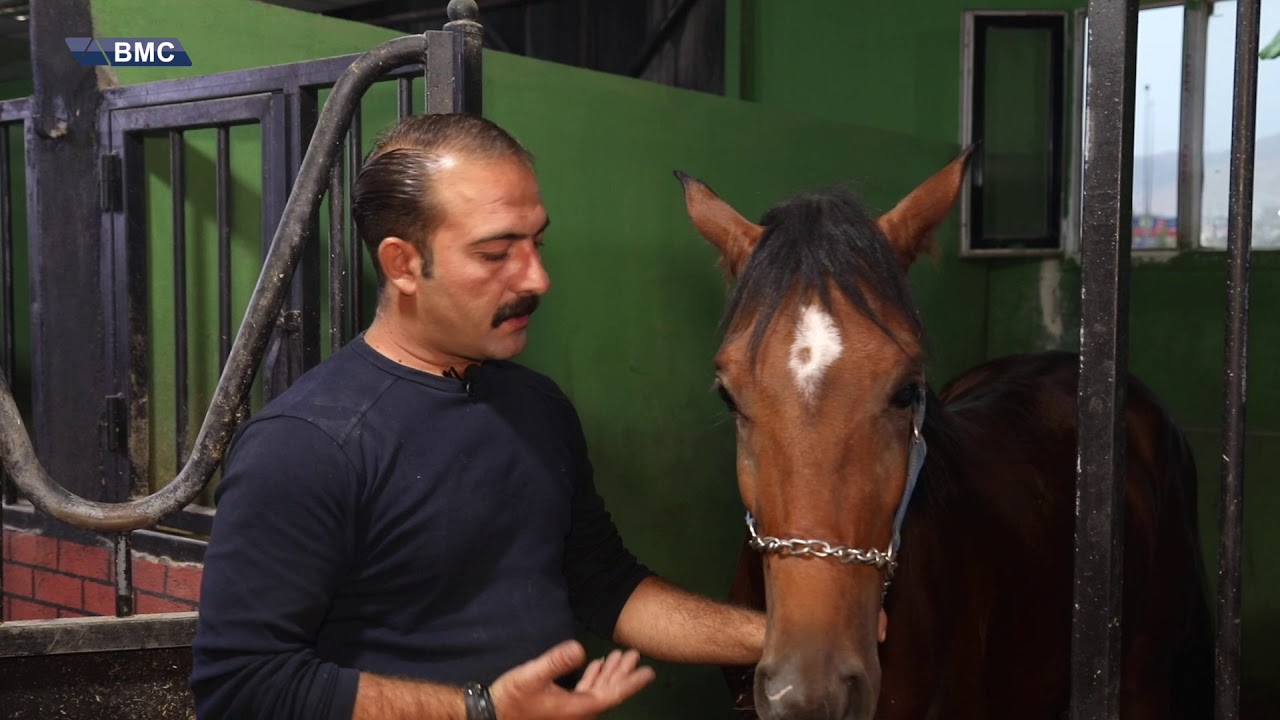 له‌ سلێمانی هونه‌ری ئه‌سپسواری له‌ چ ئاستێكدایه‌؟