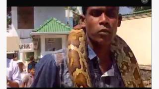 Elephant Bathing - Baby Elephant Periscope Sri Lanka