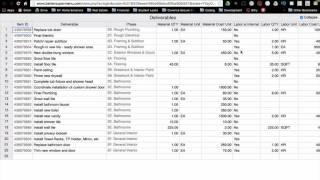 Podio for Rehab Project Management (Part 3) - Editing in Sheet View