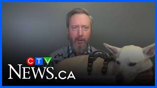 'The Tom Green Farm' debuts on Crave
