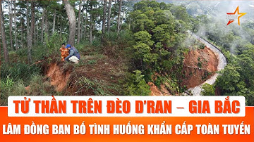 Mưa lớn “xé toạc” hai đèo D’Ran – Gia Bắc, Lâm Đồng ban bố tình huống khẩn cấp về thiên tai| TTVH