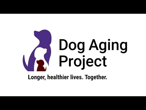 Join the Dog Aging Project