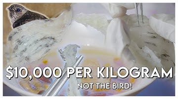 #13: The $10,000 Ingredient, An Inside Look at Malaysia
