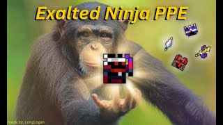 Top 50 Exalted Ninja PPE | ROTMG