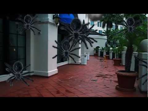 Trapcode Form 2 Trapcode Particular 2 After Effects Halloween Demo Reel 2011