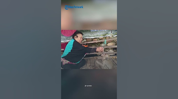 KESEDIHAN TEMON Monyet Peliharaan Mbok Yem, Kini Tampak Lesu setelah Ditinggal Majikan