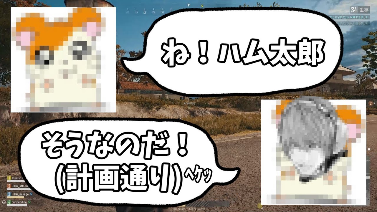 企画 ハム太郎がハム太郎を全肯定するハム太郎pubg Pubg Pillar5902 ピラー Youtube
