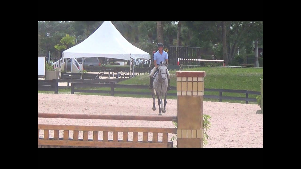Ashland Farms Sales Horse YouTube
