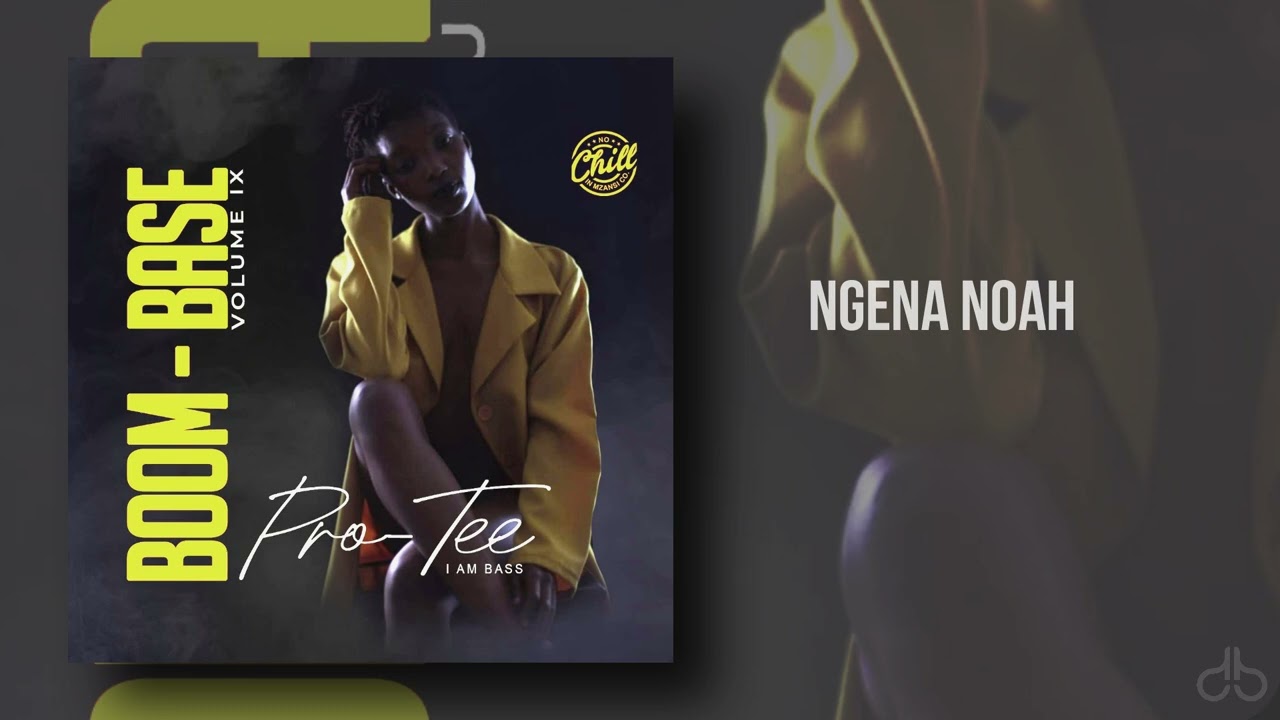 Pro-Tee - Ngena Noah(Original Mix)