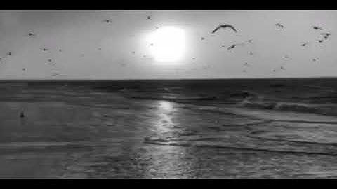 فاصبر لحكم ربك ♥️ القارئ اسلام صبحي 💙