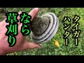 草刈りには、タイガーハンターを装備して、綺麗に楽々！？#草刈り#腱鞘炎防止#diy