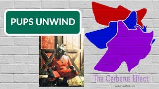 Pups Unwind (Ursus) | The Cerberus Effect