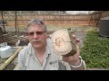How to tell the difference between wood rot and Termite infestation. How to tell the difference between wood rot and Termite infestation.