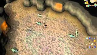 Where to find cockatrice runescape