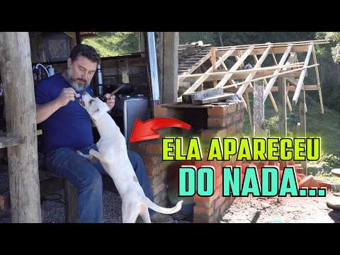 O Dia Começou Sem Energia... Mas Terminou Melhor do que Imaginei