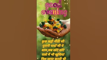 Thumbnail of Good evening status video #shortvideo #goodevening
