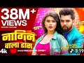 Hasina Ho pasine mein tu to nagin ke dance kare lu #Bhojpuri song #free fire video