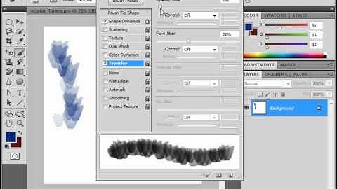Photoshop CS5 Tutorial Setting Transfer/Other Dynamics Adobe Training Lesson 6.9