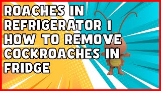 Roaches in Refrigerator | How to Remove Cockroaches in Fridge