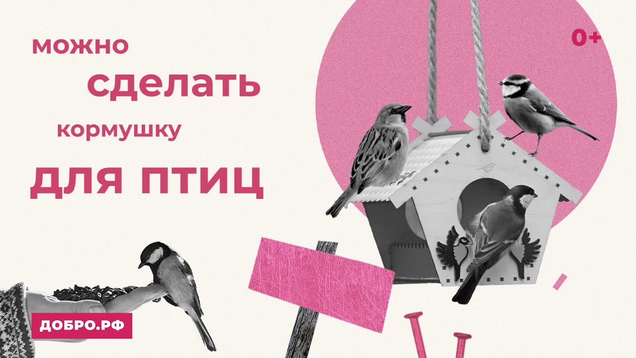 Веста бузулук помощь животным