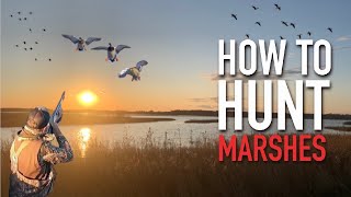 5 Tips for Duck Hunting Shallow Water Marshes (2022 Season)