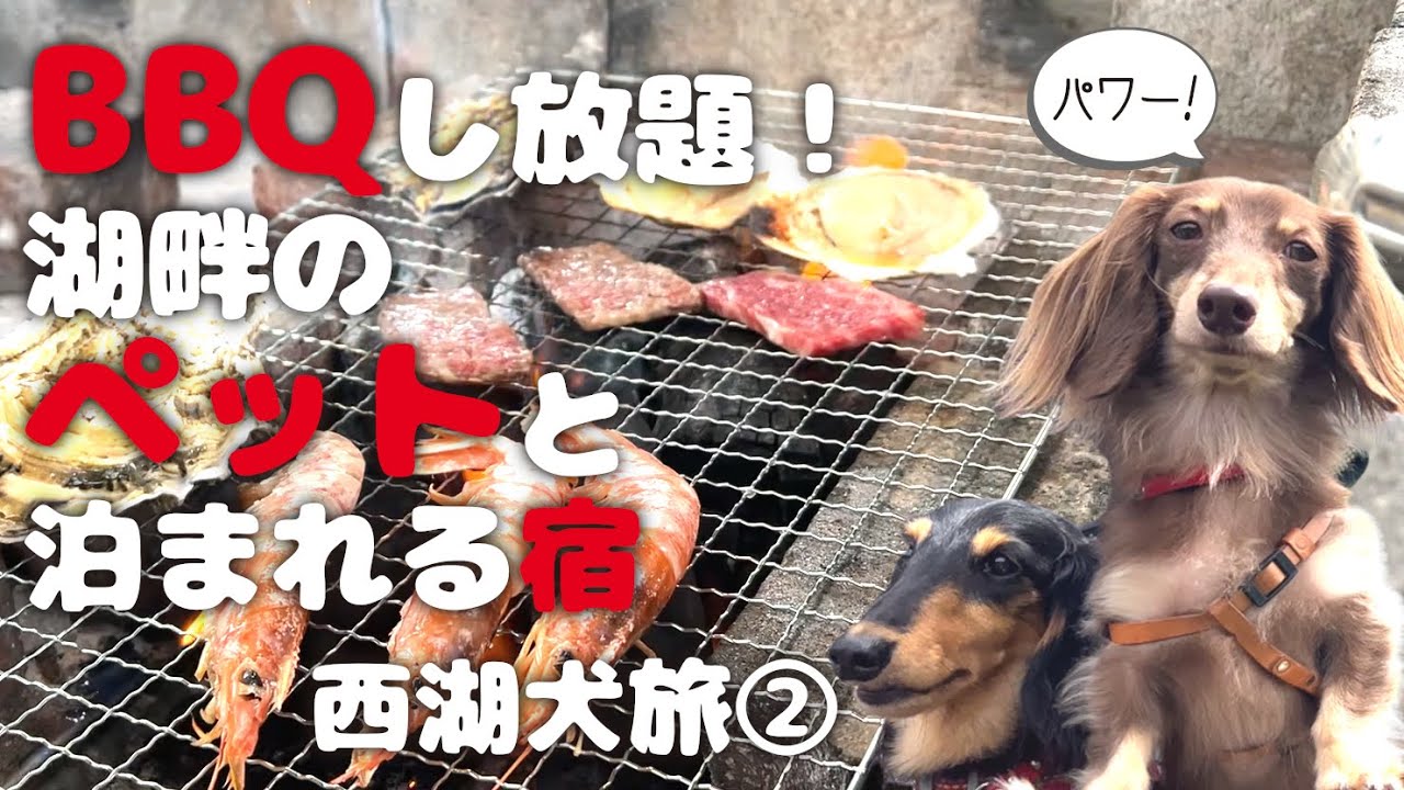 【犬連れ旅行山梨西湖宿&観光】愛犬と泊まれる宿 西湖「サンレイク」さんでBBQしまくり!大石公園ハナテラス散策 1泊2日わんこ旅1/2 2022.8