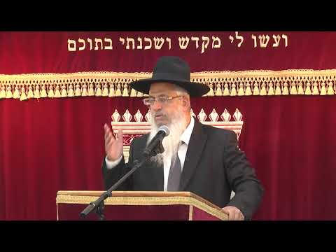 הלכות ספר תורה | הרב יורם סרי