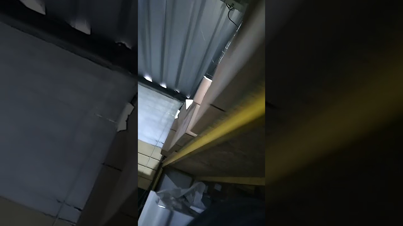 UM MICO INVADIU O GUARANI AUTO PEÇAS DJGUMMER PAGANDO MICO RSRS VOL 01