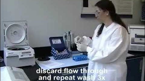 MinElute for Forensics