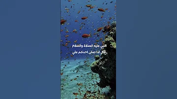 ص ل وا ع ل ى م ن ج ع ل الل ه ذ ك ر ه ر ف ع ة و ج ع ل ح ب ه س ب يل ا إ ل ى ال ج ن ة ﷺ 