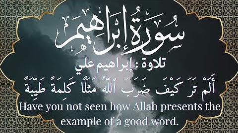ألم تر كيف ضرب الله مثلا كلمة طيبة | سورة إبراهيم آية ٢٤