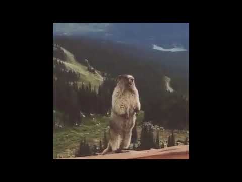 ...АААААААА!! Вот это