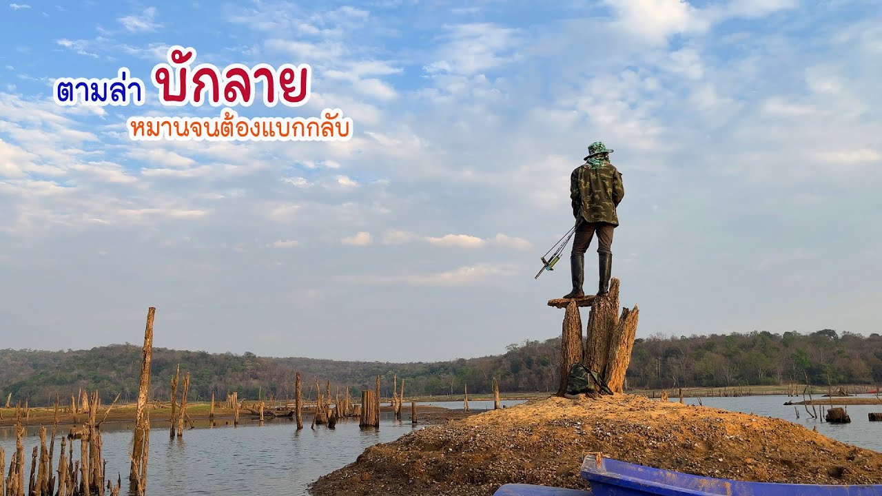 ตามล่าบักลายตัวแรกของปี หมานจนต้องแบกกลับ