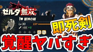 ゼルダ無双 厄災の黙示録 即死効果 オートガード 最強の獣神の剣が強すぎる Hyrule Warriors Age Of Calamity Comparison Naotin Youtube